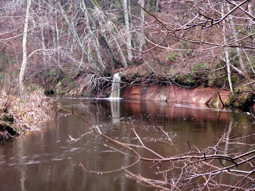 PICT0001.JPG