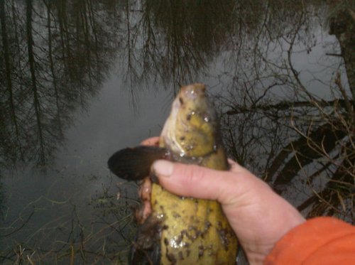 002.JPG (81.09 КБ) 2065 просмотров 002.JPG