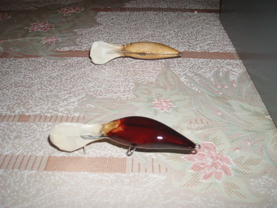 P1010033.JPG