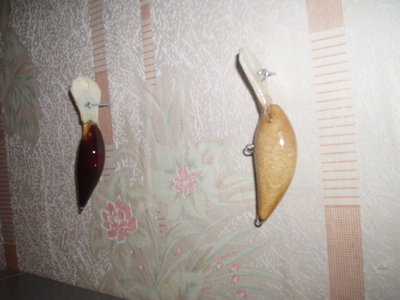 P1010035.JPG