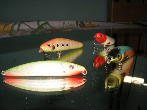 DSCF2218.JPG