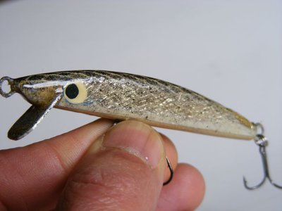 DSCF0863.jpg