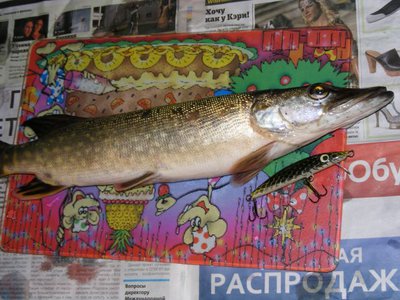 DSCF0864.jpg