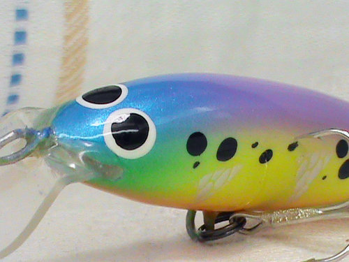 DSC01696.jpg