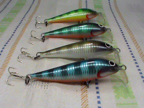 DSC01713.jpg