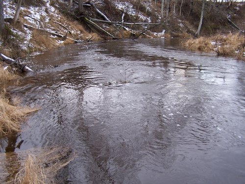 a pocemu bi net.JPG
