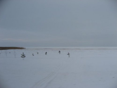 IMG_7104.jpg