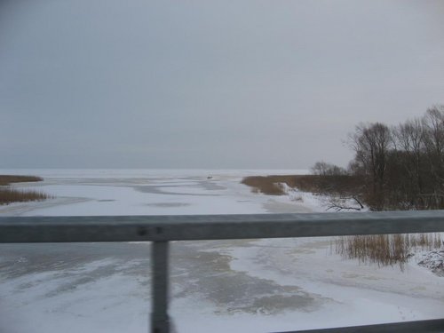 IMG_7107.jpg