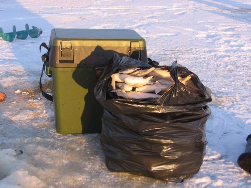 21.01.12 012.jpg